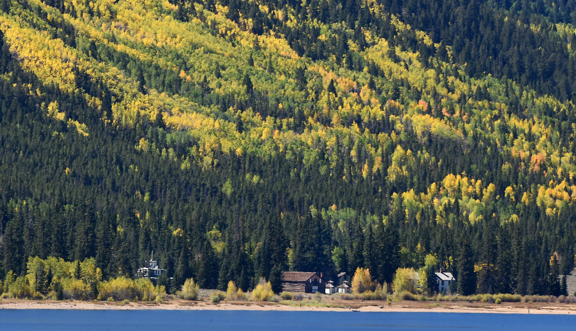 092821-news-aspens 20.JPG